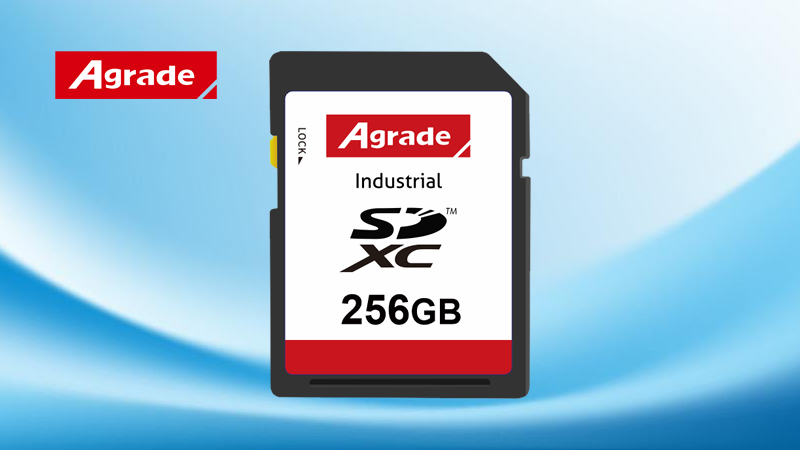 SD速度能夠達到多少？