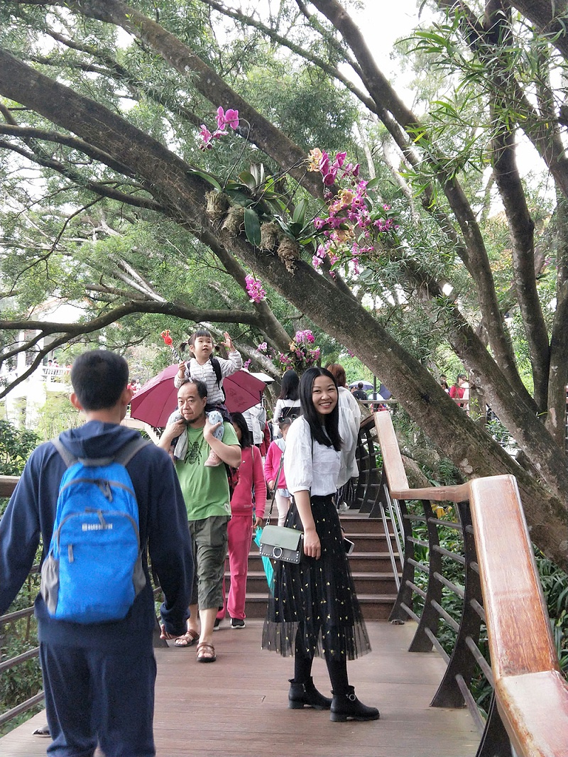 QQ圖片20190404144657