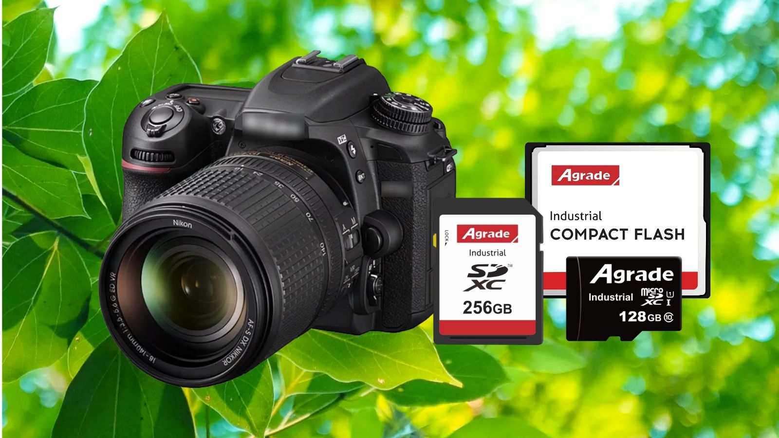 春天，單反會飛！